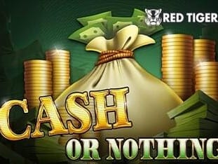 Cash Or Nothing screenshot