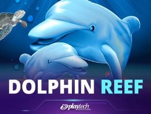 Dolphin Reef screenshot
